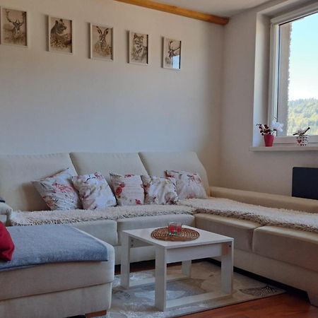 Mezonetovy Apartman V Oscadnici Ощадніца Екстер'єр фото